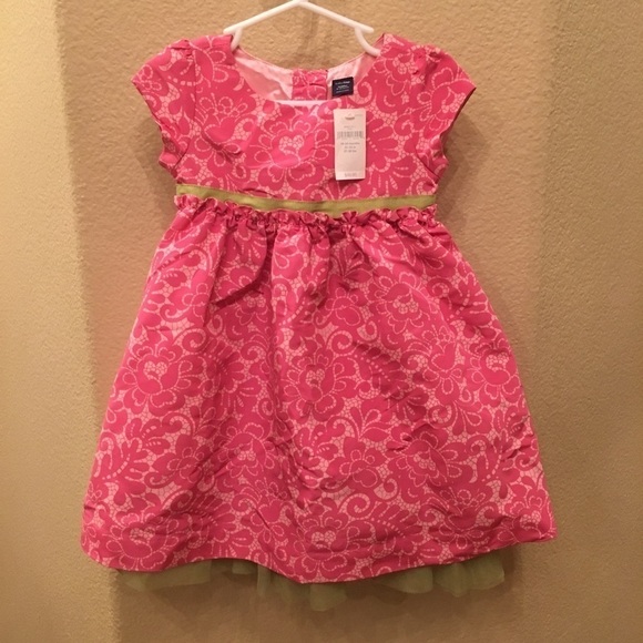 NWT- BABYGAP Girls Pink Floral Party Special Occasion Dress Size 18-24 Months - Picture 1 of 8